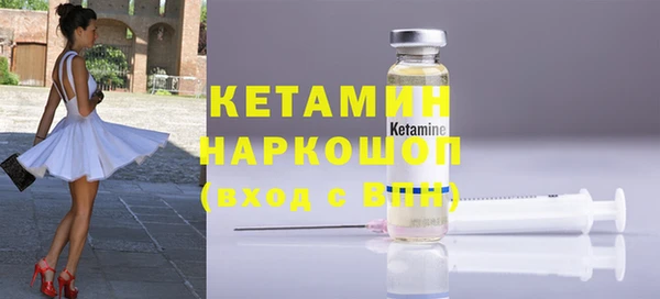 сатива Корсаков