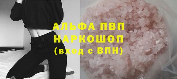 сатива Корсаков