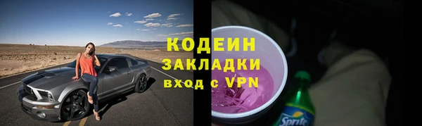 сатива Корсаков