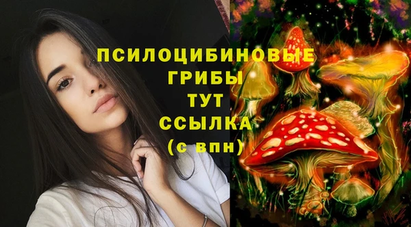 а пвп мука Костерёво