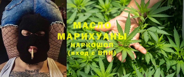 сатива Корсаков