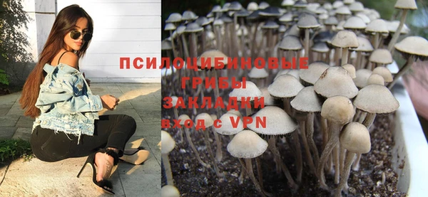 а пвп мука Коряжма