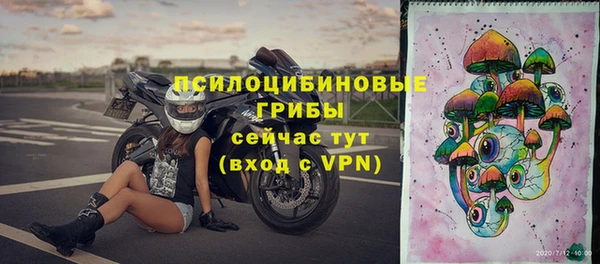 а пвп мука Коряжма
