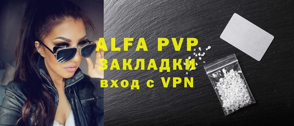 сатива Корсаков